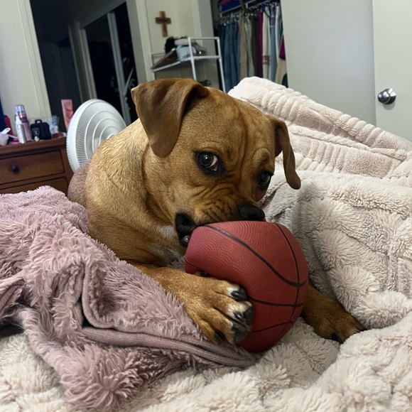 Meet your Posher, Tracey and David - Picture 7 of 7